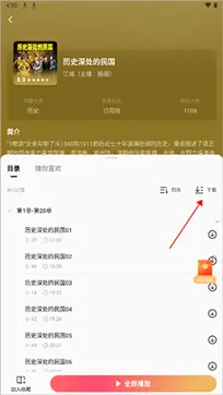 红果短剧2024最新版