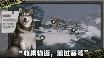 我在末日捡垃圾完整版图3