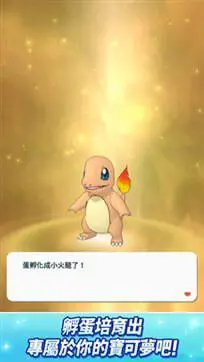 宝可梦大师ex官网版图1