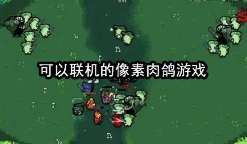 可以联机的像素肉鸽游戏