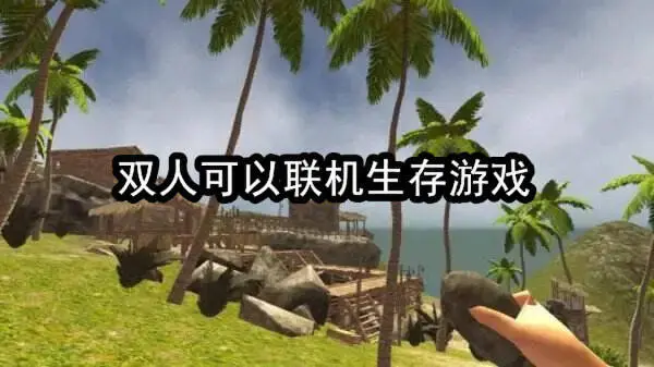 双人可以联机生存游戏